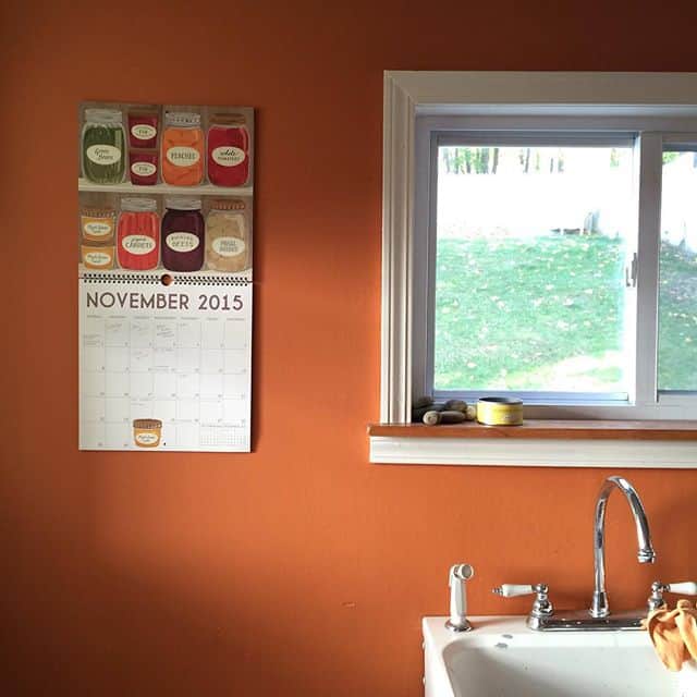 Every once in a while I question my decision to paint the laundry room orange, but never ever in November.
